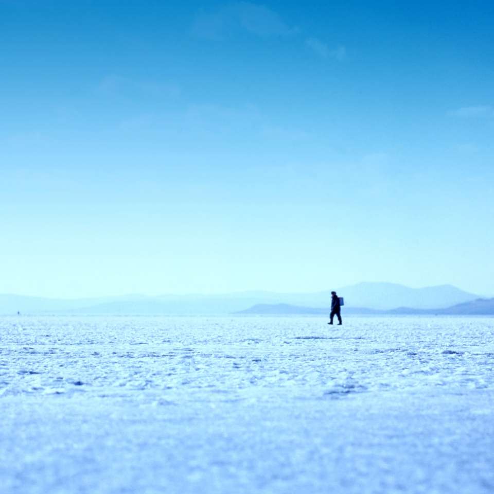 фото людини, що йде по льодовому полі онлайн пазл