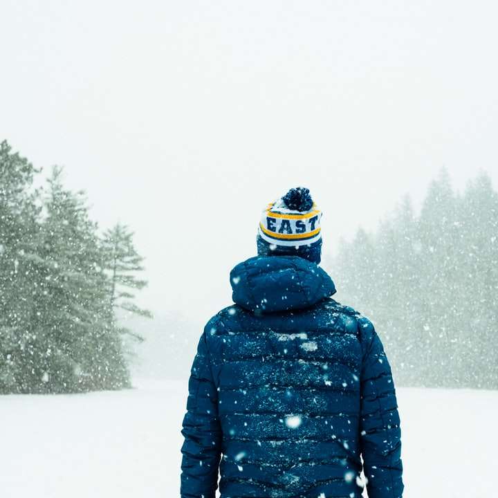 person in blue jacket standing on snow-covered ground sliding puzzle online