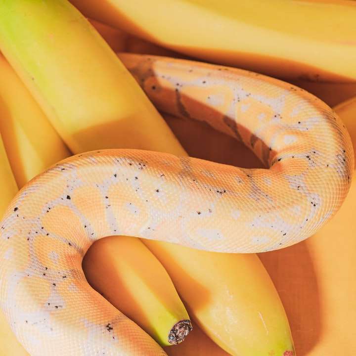 żółty owoc banana na brązowym drewnianym stole puzzle przesuwne online