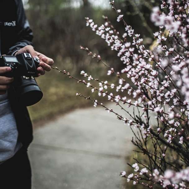 Photographier des fleurs lors d'une promenade puzzle coulissant en ligne