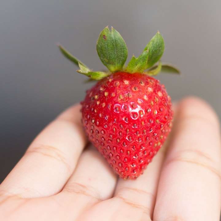 Φρέσκια φράουλα συρόμενο παζλ online