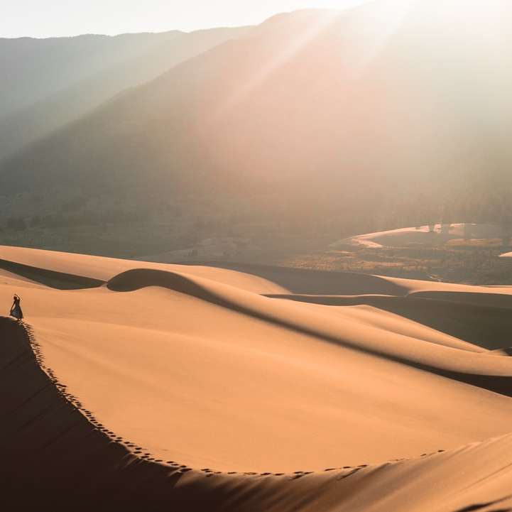 човек, стоящ на пясъчна дюна плъзгащ се пъзел онлайн