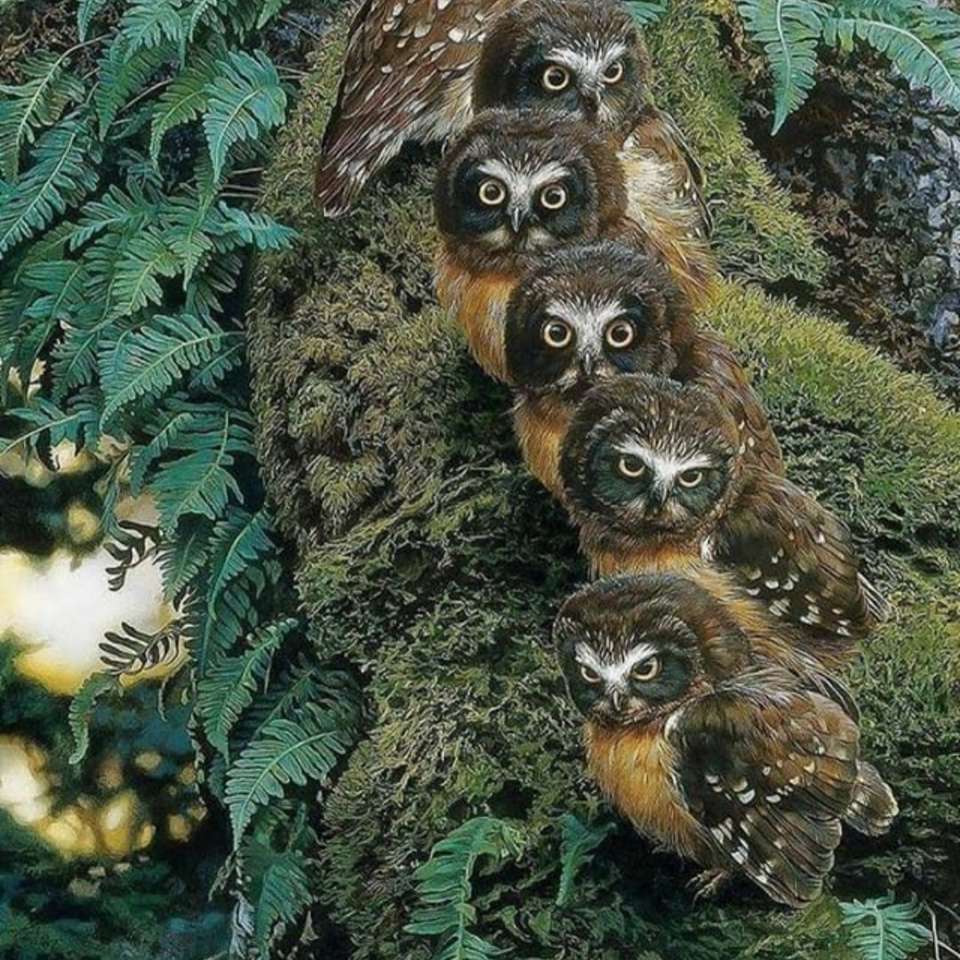 owls in the forest online puzzle