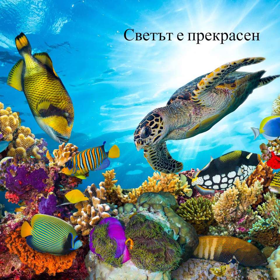 pod wodą - świat jest piękny puzzle online