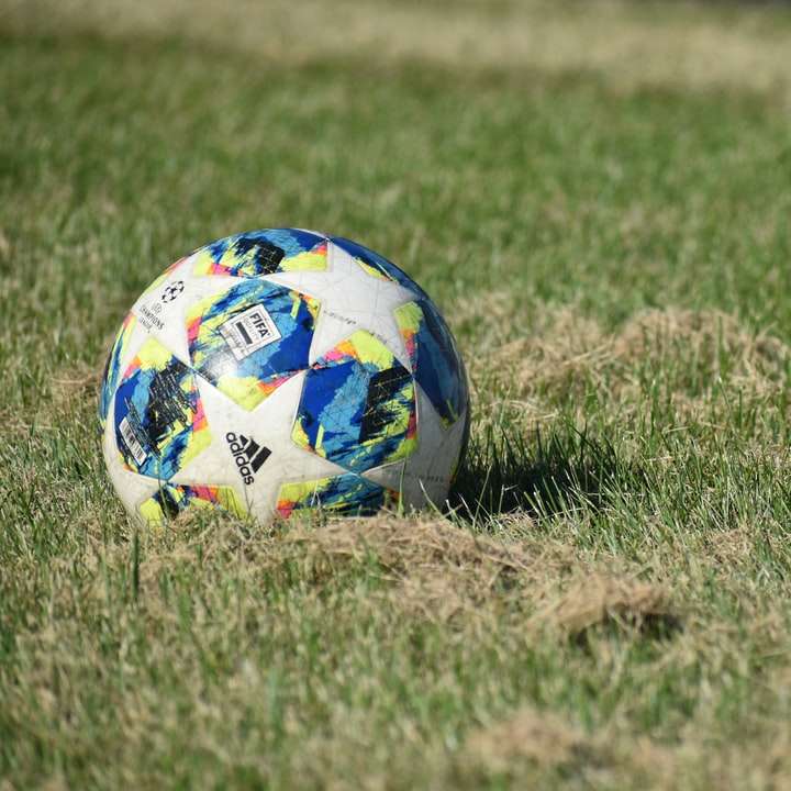 Minge de fotbal în iarbă puzzle online