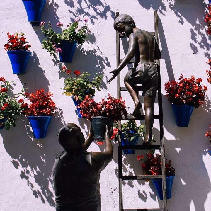Junge klettert auf Leiter in der Nähe von Pflanzentöpfen, die an der Wand montiert sind Online-Puzzle