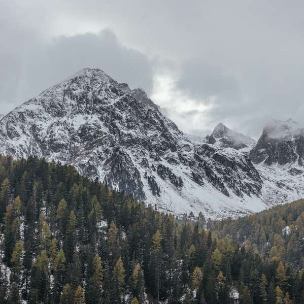 Weiße Berge in der Nähe von immergrünen Wäldern Schiebepuzzle online