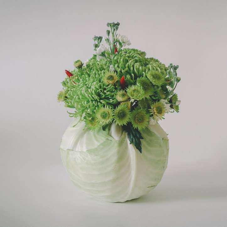 зелена рослина в білій керамічній вазі онлайн пазл