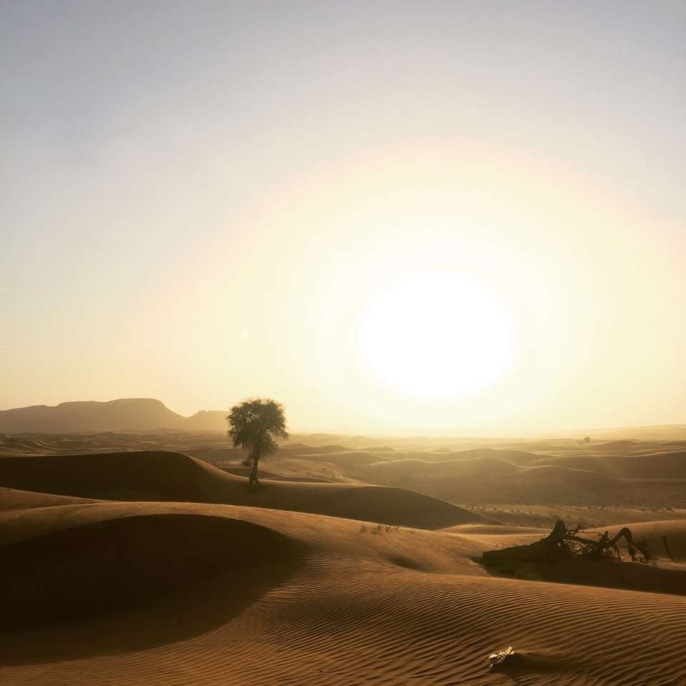 Dubai desert sliding puzzle online