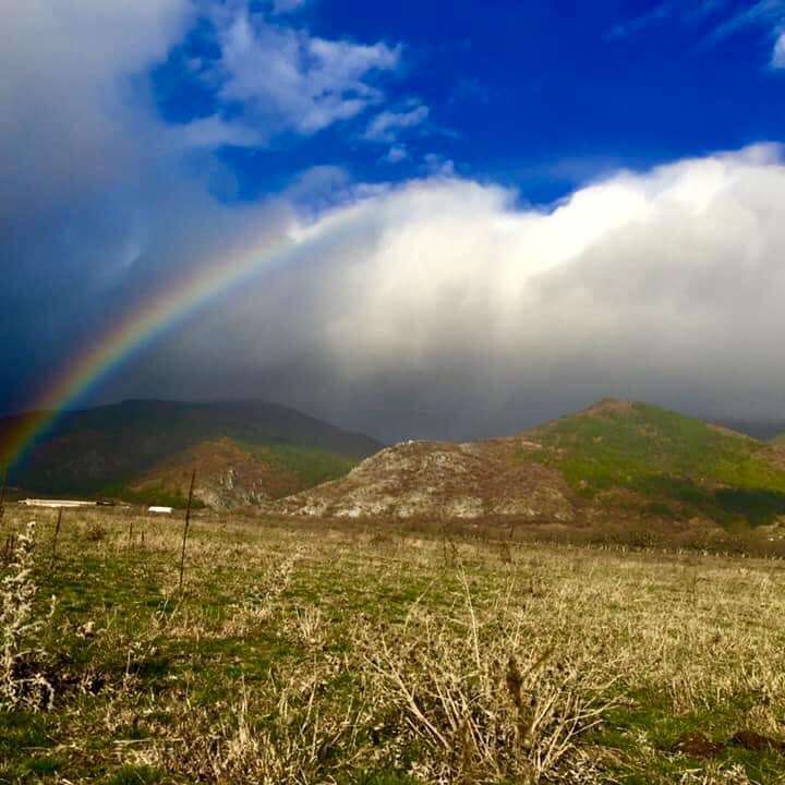 rainbow over the meadow online puzzle