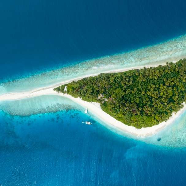 zielona wyspa drzew z błękitnym morzem puzzle online