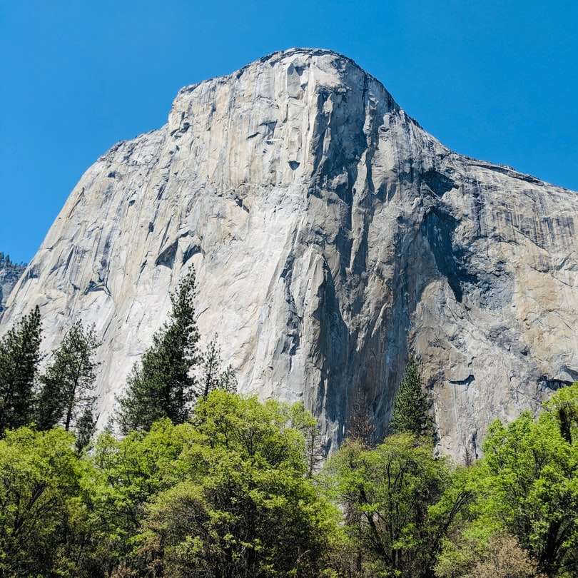 Yosemite Pussel online