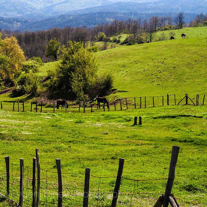 pastures in Strandzha mountain sliding puzzle online