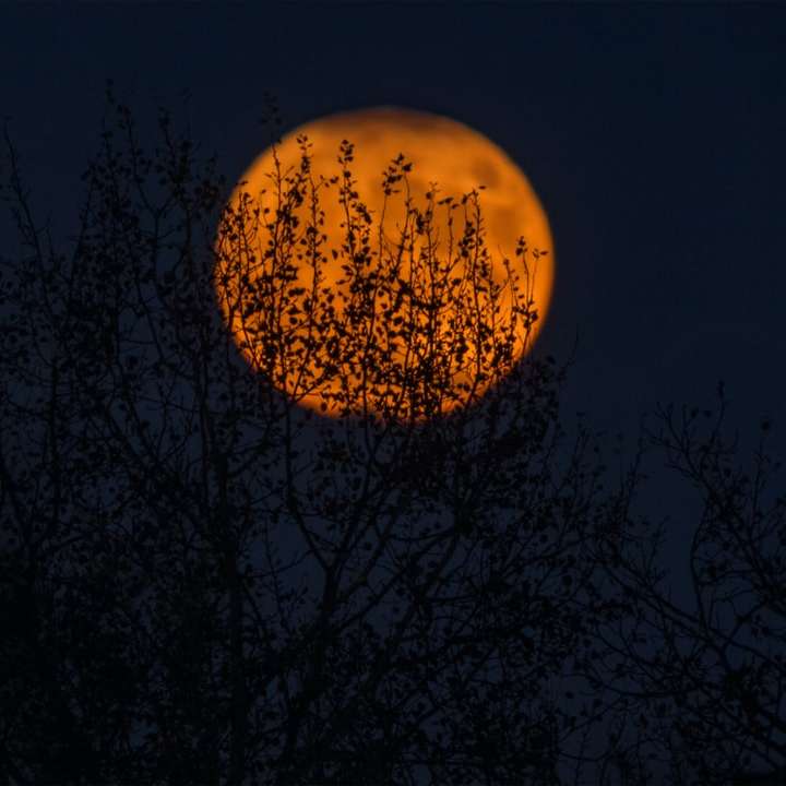 Ντροπαλή Σελήνη συρόμενο παζλ online