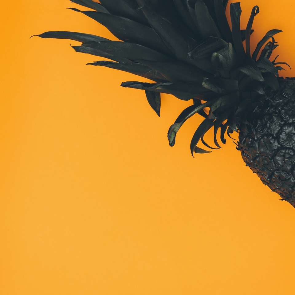 Ananas auf orange Hintergrund Schiebepuzzle online