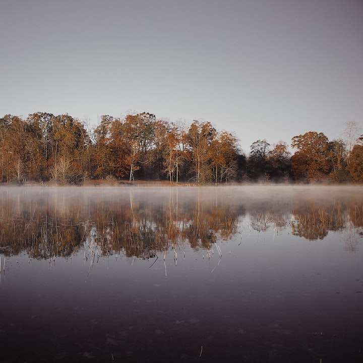 ширококутне фото озера онлайн пазл