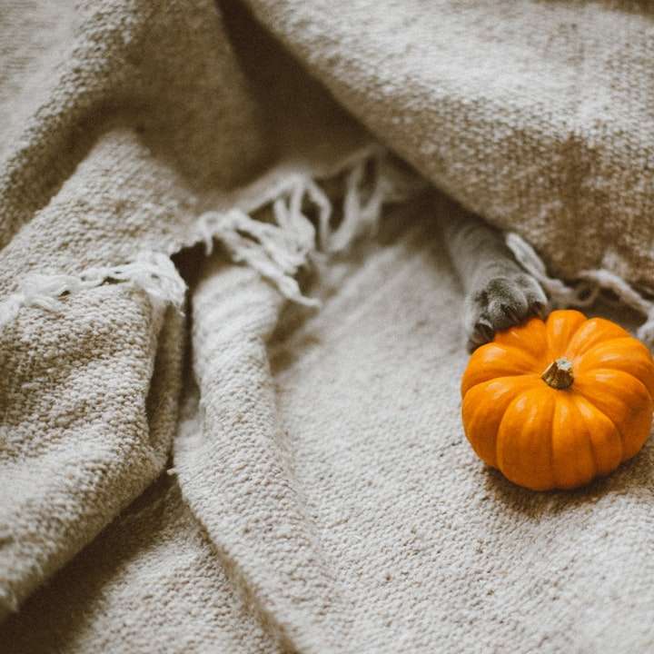 Paw Pumpkin Linen Fabric sliding puzzle online