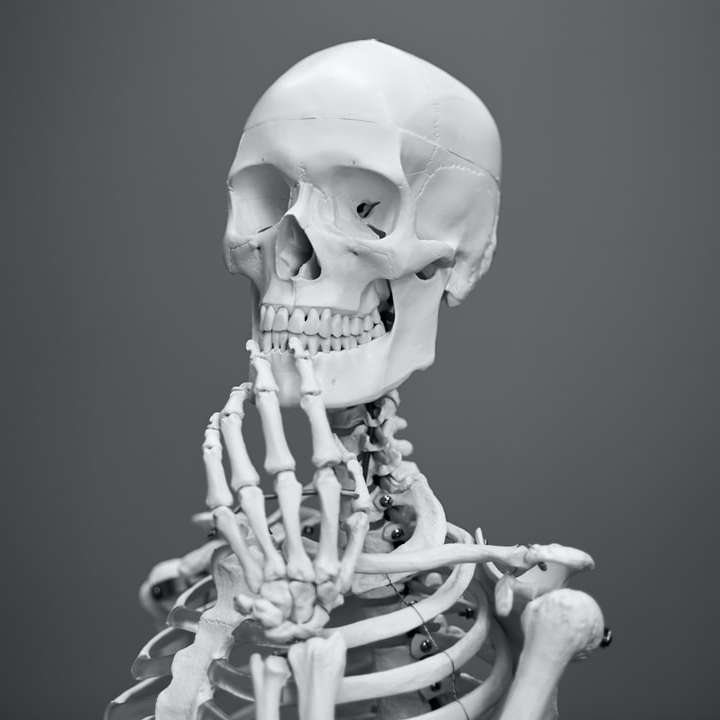 greyscale photography of skeleton online puzzle