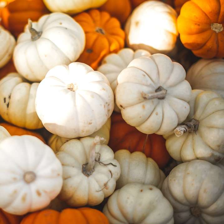Pick-a-Pumpkin schuifpuzzel online