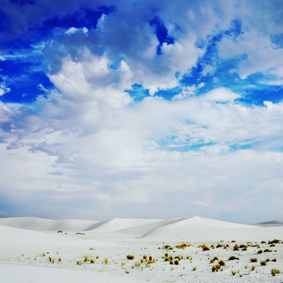 Άσπρες άμμοι και θάμνοι ερήμων συρόμενο παζλ online