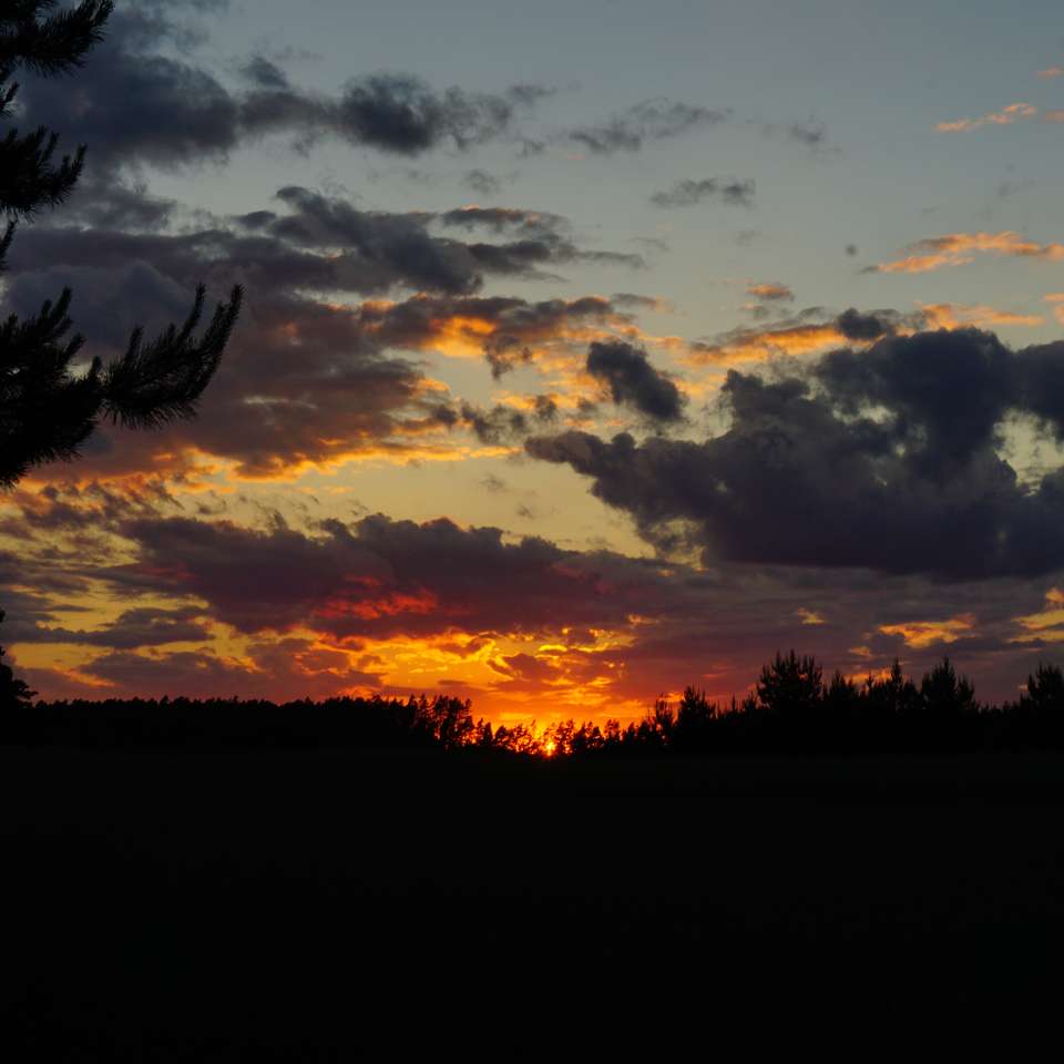 Sonnenuntergang über dem Feld Schiebepuzzle online