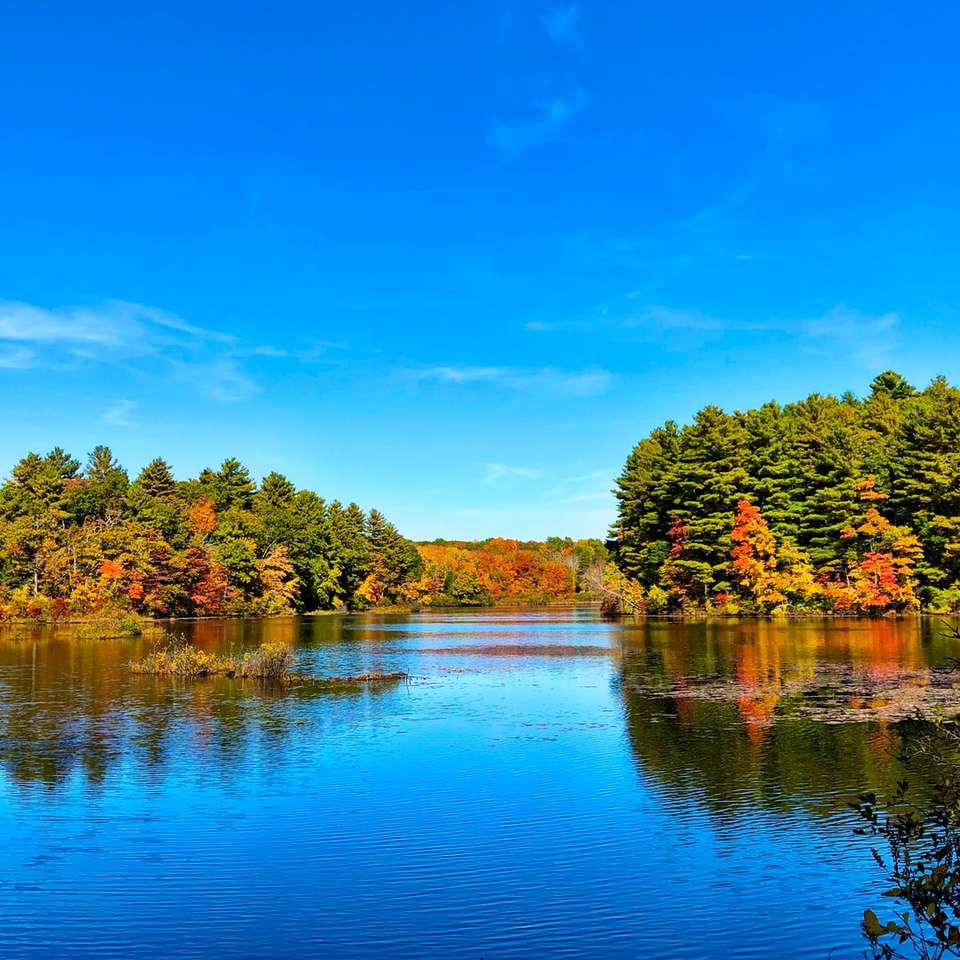 Fall lake in New England online puzzle