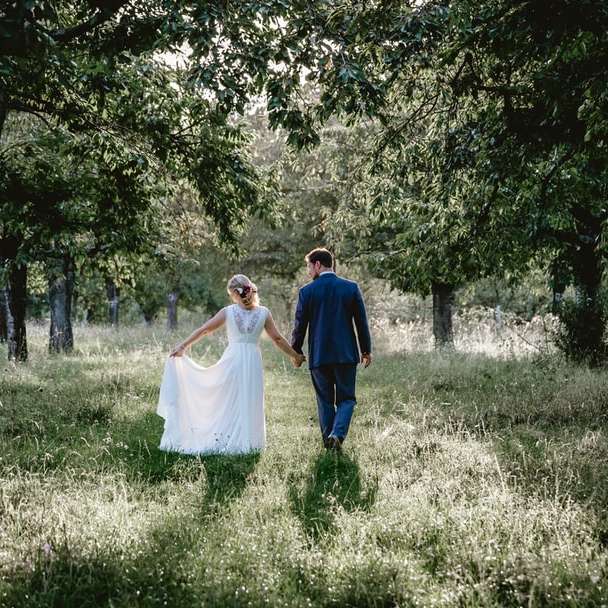 Braut und Bräutigam gehen auf Grasfläche zwischen Baumgrenze Foto Online-Puzzle