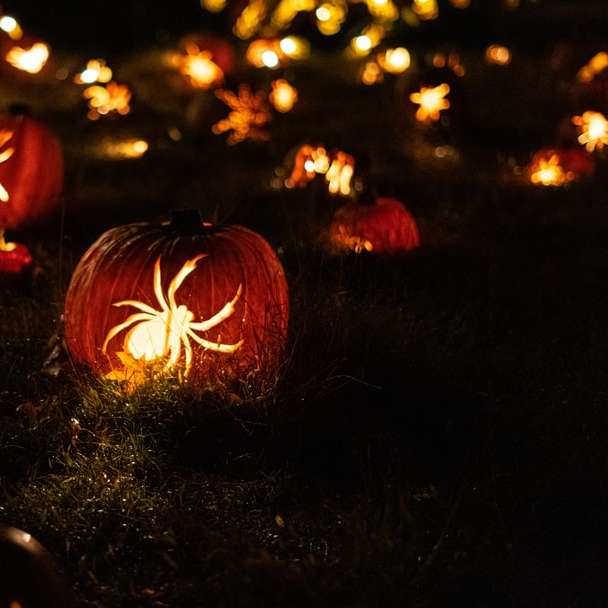 Câmpul păianjenului Jack O'lanterns puzzle online