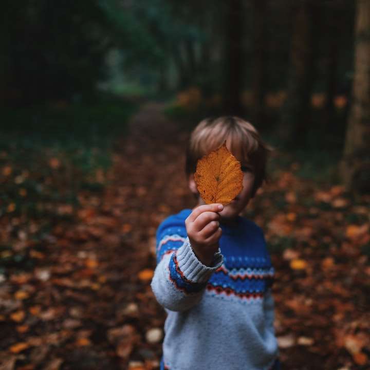 boy holding brown leaf covering his face sliding puzzle online