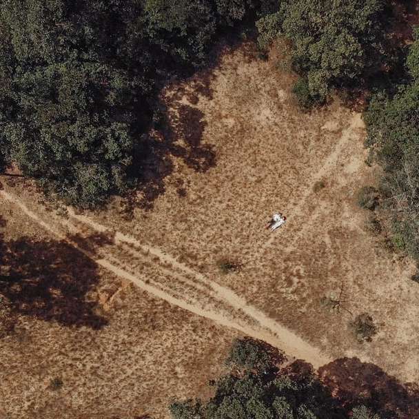 Luftbild an Land in der Nähe von Bäumen Schiebepuzzle online