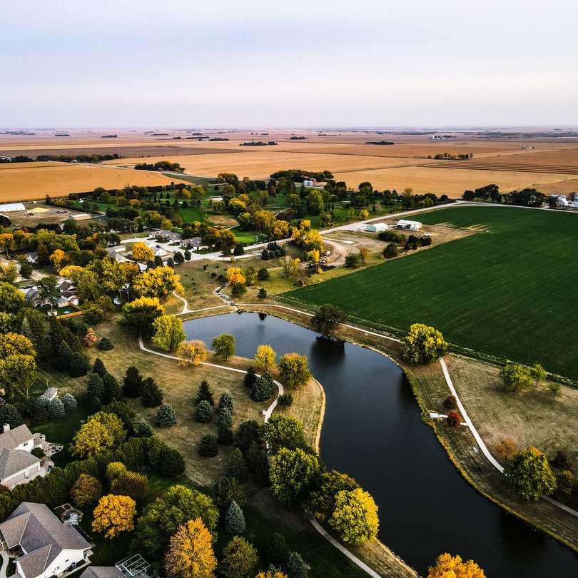 luchtfoto van groen grasveld en bomen overdag online puzzel