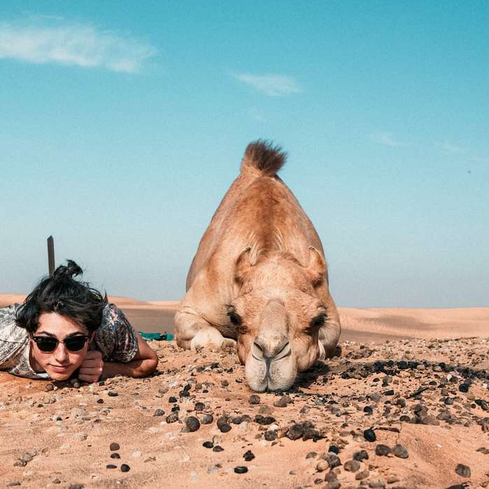 мъж и камила, лежащи на земята онлайн пъзел