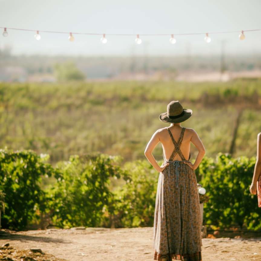 δύο γυναίκες που στέκονται κοντά σε πράσινα φυτά και κορδόνια online παζλ