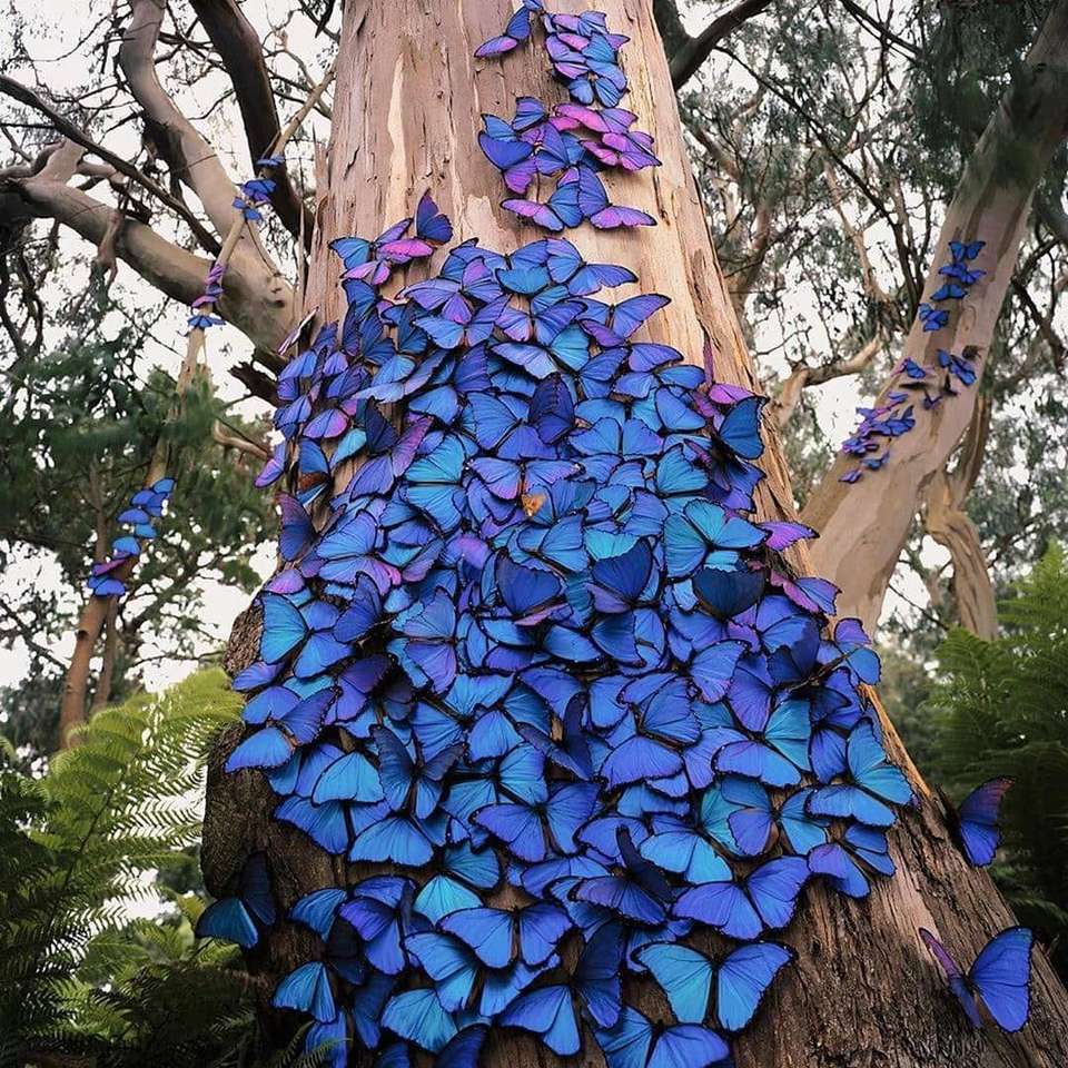 синие бабочки раздвижная головоломка онлайн