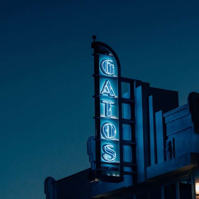 снимка на неонови светлинни надписи Gatos онлайн пъзел