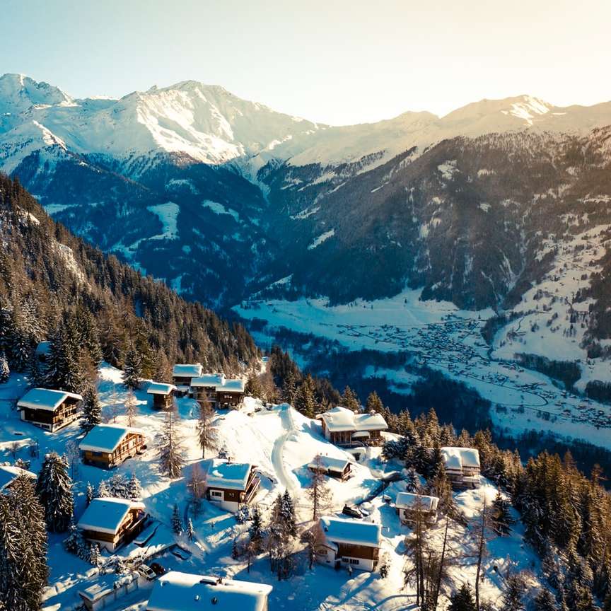 hóval borított házak zöld fenyőfák mellett online puzzle