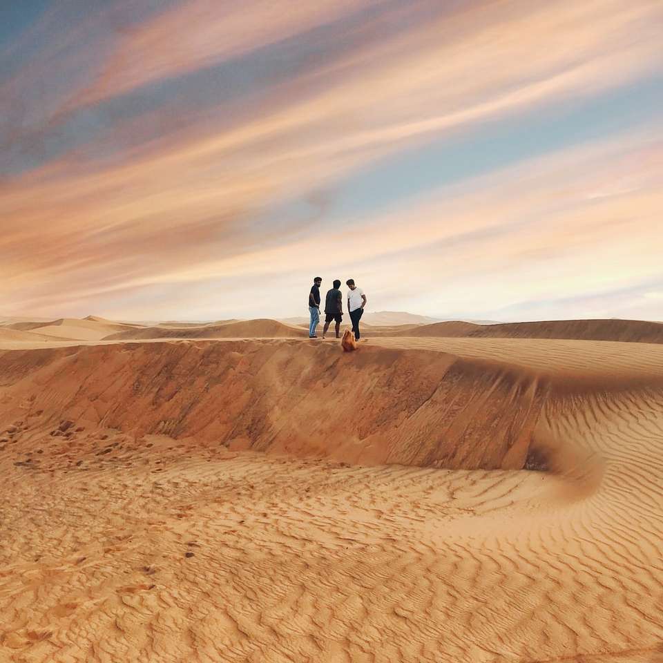 2 човека, ходещи през пустинята през деня онлайн пъзел
