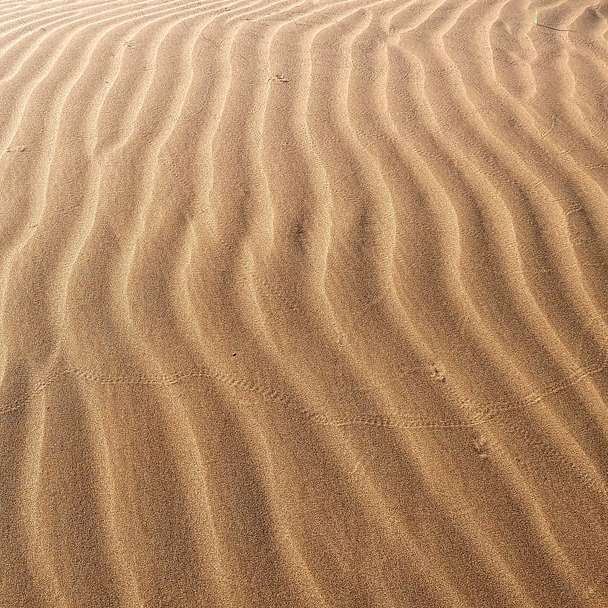 昼間の足跡と茶色の砂 オンラインパズル