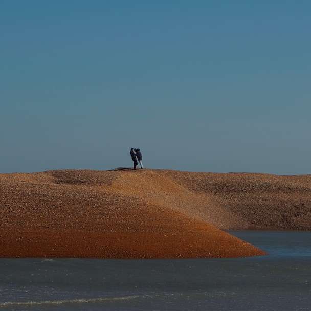 человек идет по коричневому песку возле водоема онлайн-пазл