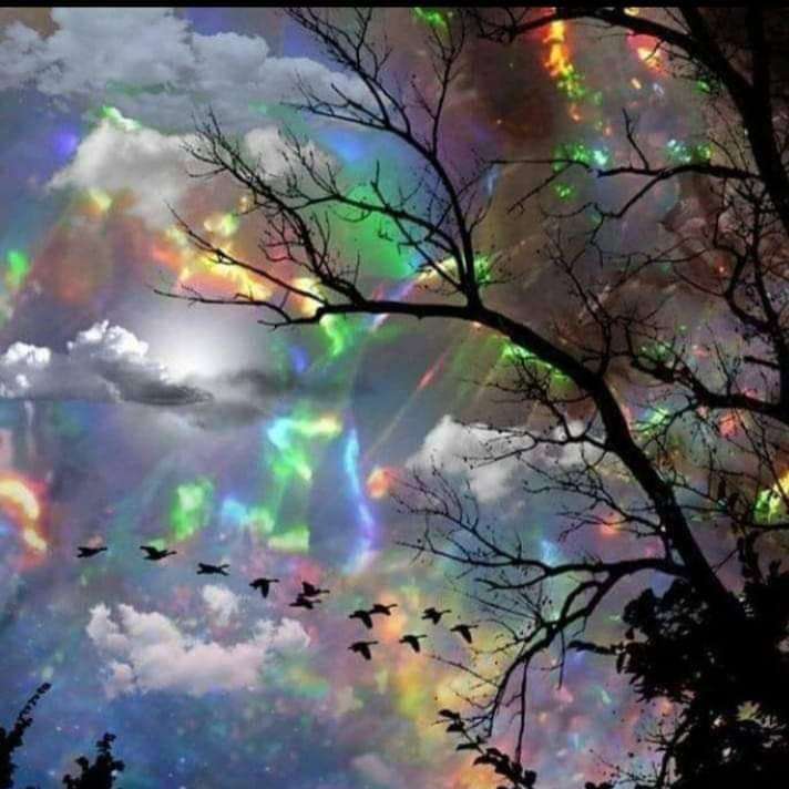 magiczne niebo i ptaki puzzle przesuwne online