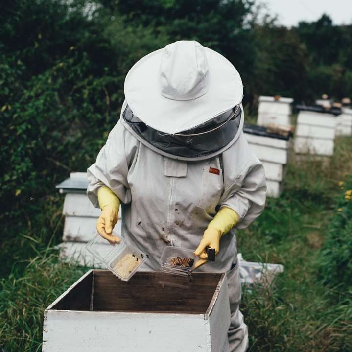 bee person plantering Pussel online