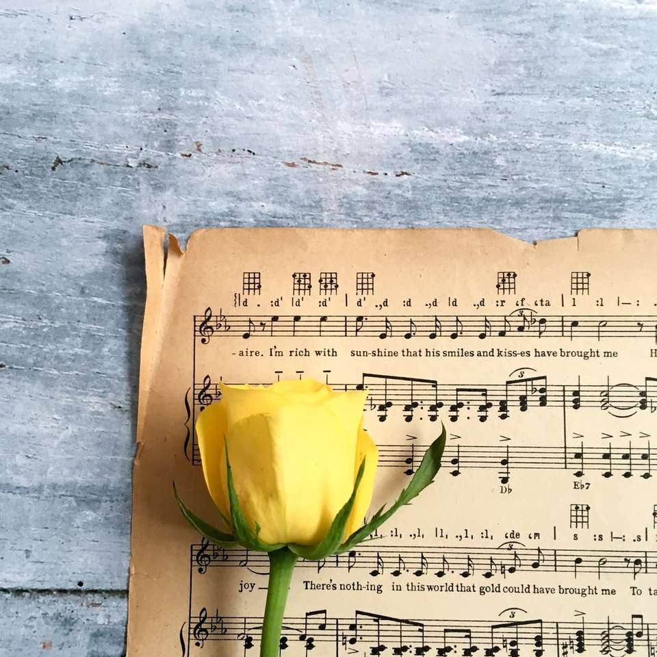 rosa gialla sul foglio di nota musicale puzzle online