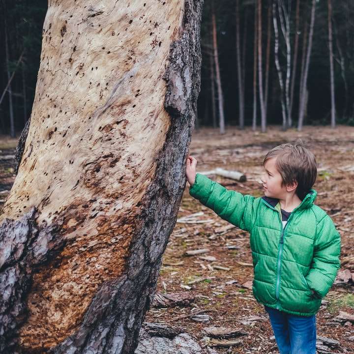 Niño vestido con chaqueta con cremallera de burbuja verde sosteniendo el tronco de un árbol rompecabezas en línea