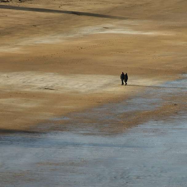 persoon in zwarte jas die overdag op bruin zand loopt online puzzel
