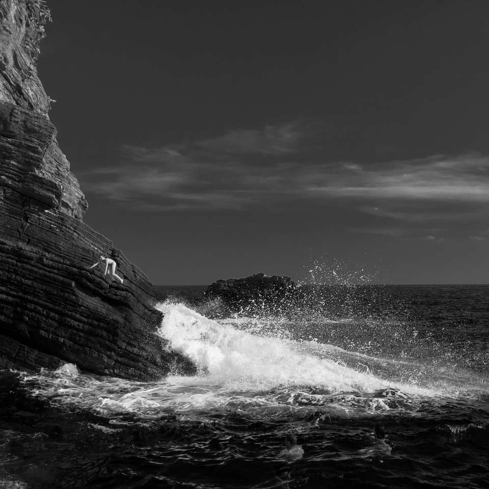 grayscale photo of sea online puzzle
