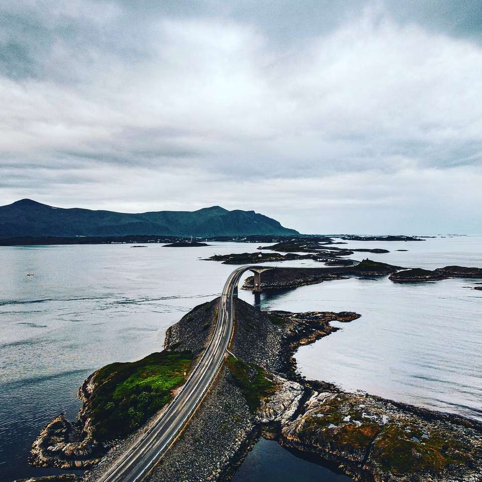 fotografie aeriană a drumului gri cu vedere la mare și munte alunecare puzzle online