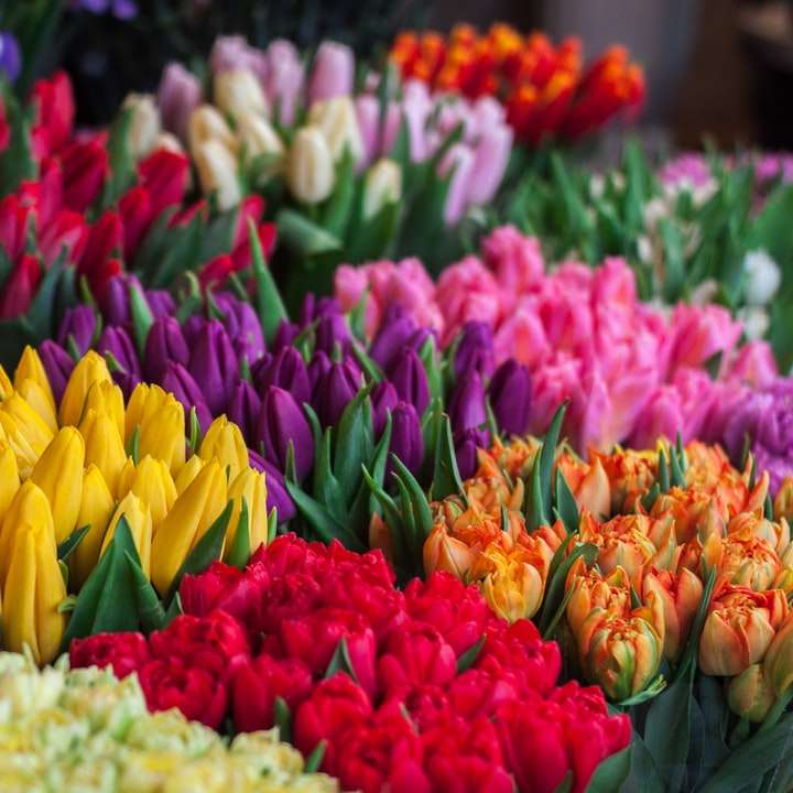 разнообразни цветя онлайн пъзел