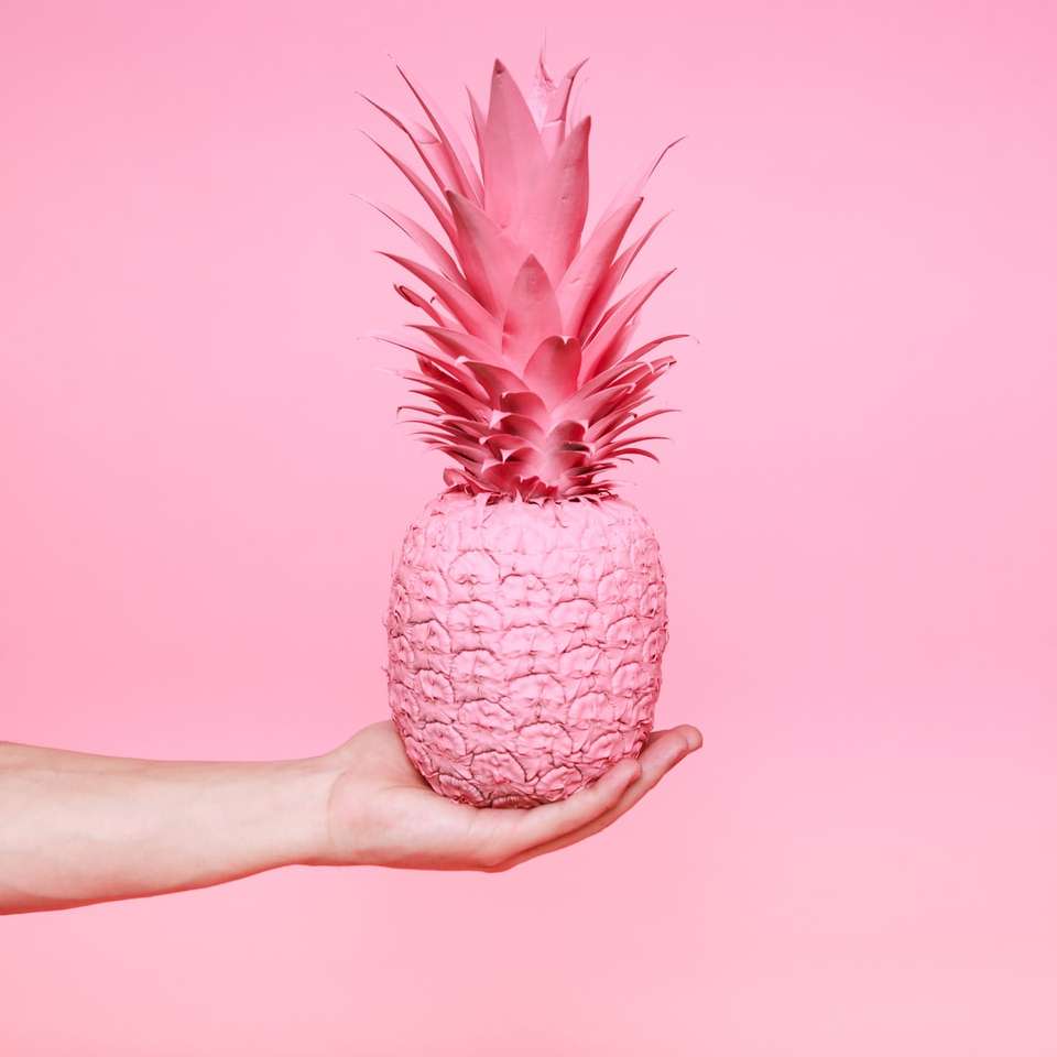 pink pineapple fruit online puzzle