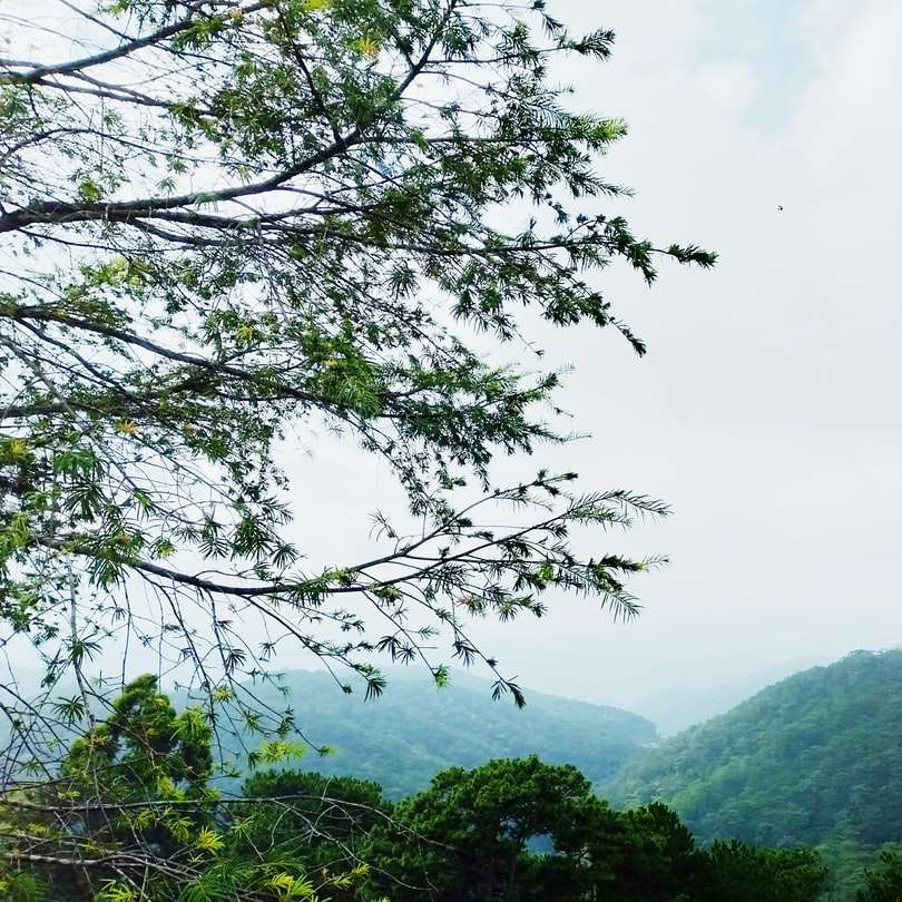 зелени планини под бяло небе през деня плъзгащ се пъзел онлайн