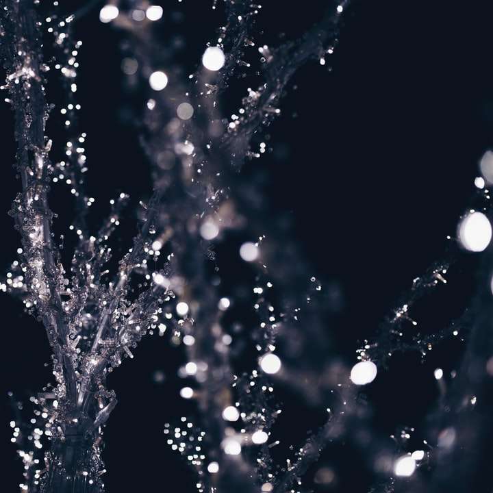 řetězec světla na stromě v noci online puzzle